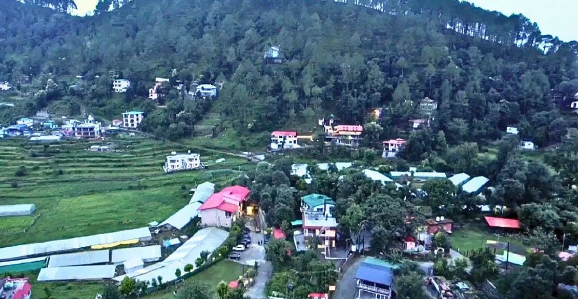 Damyanti Resort · main view